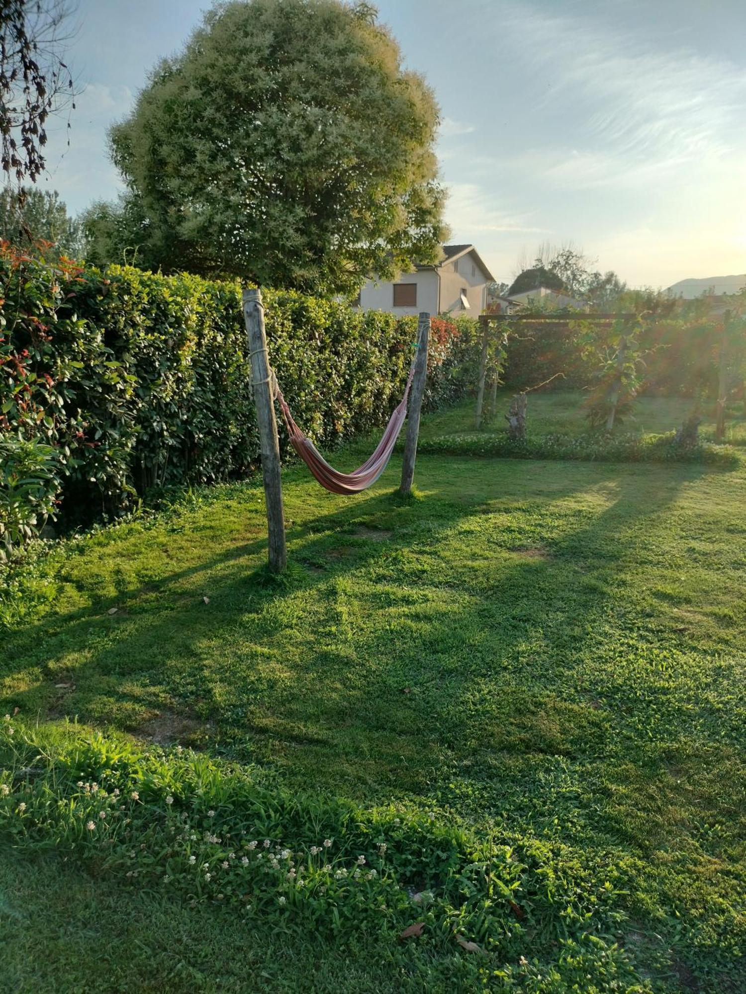B&B La Rosa Nel Verde Lucca Exteriör bild