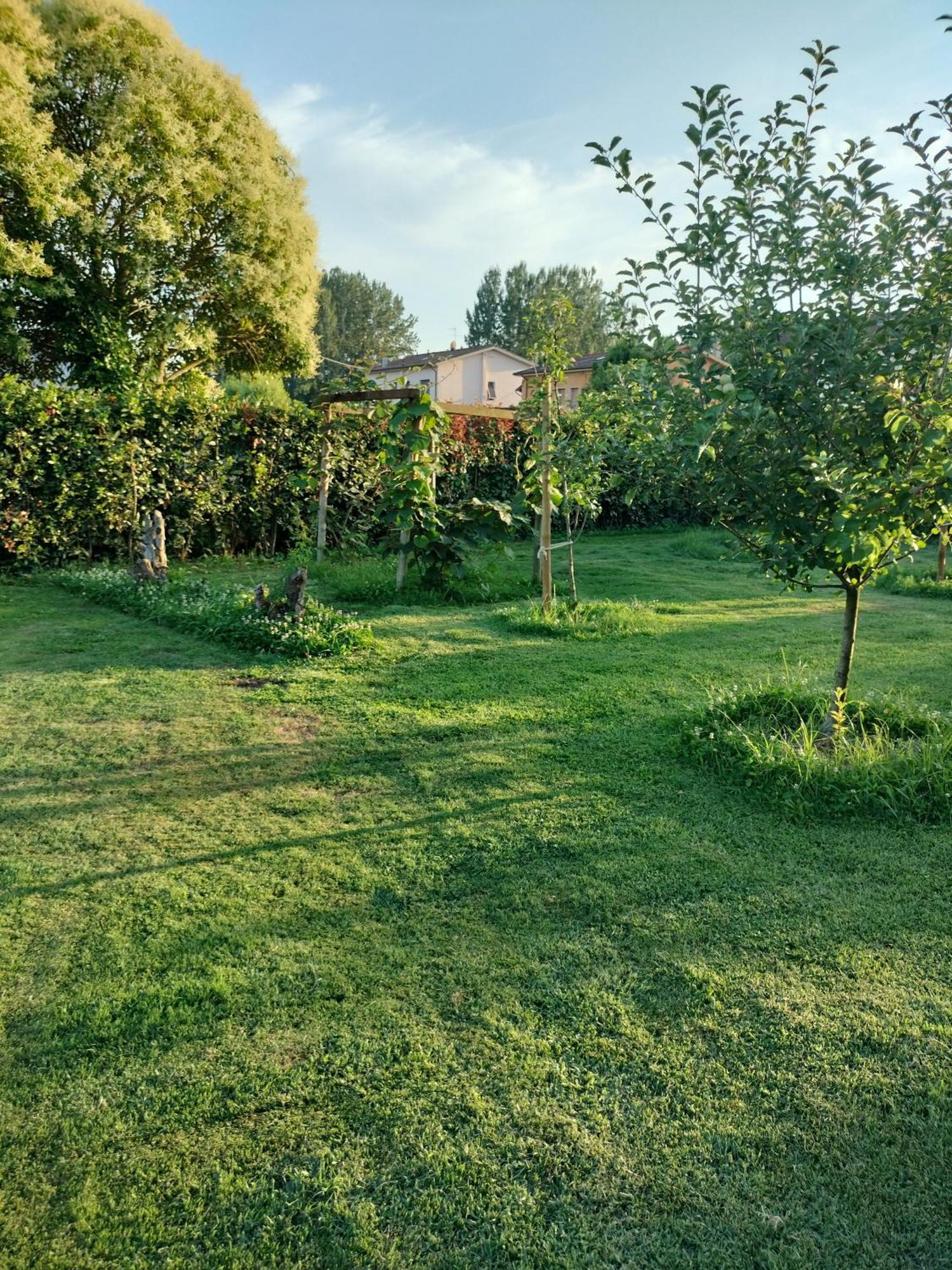 B&B La Rosa Nel Verde Lucca Exteriör bild