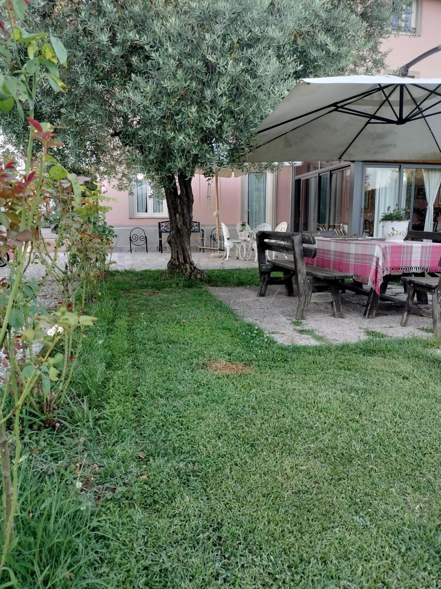 B&B La Rosa Nel Verde Lucca Exteriör bild